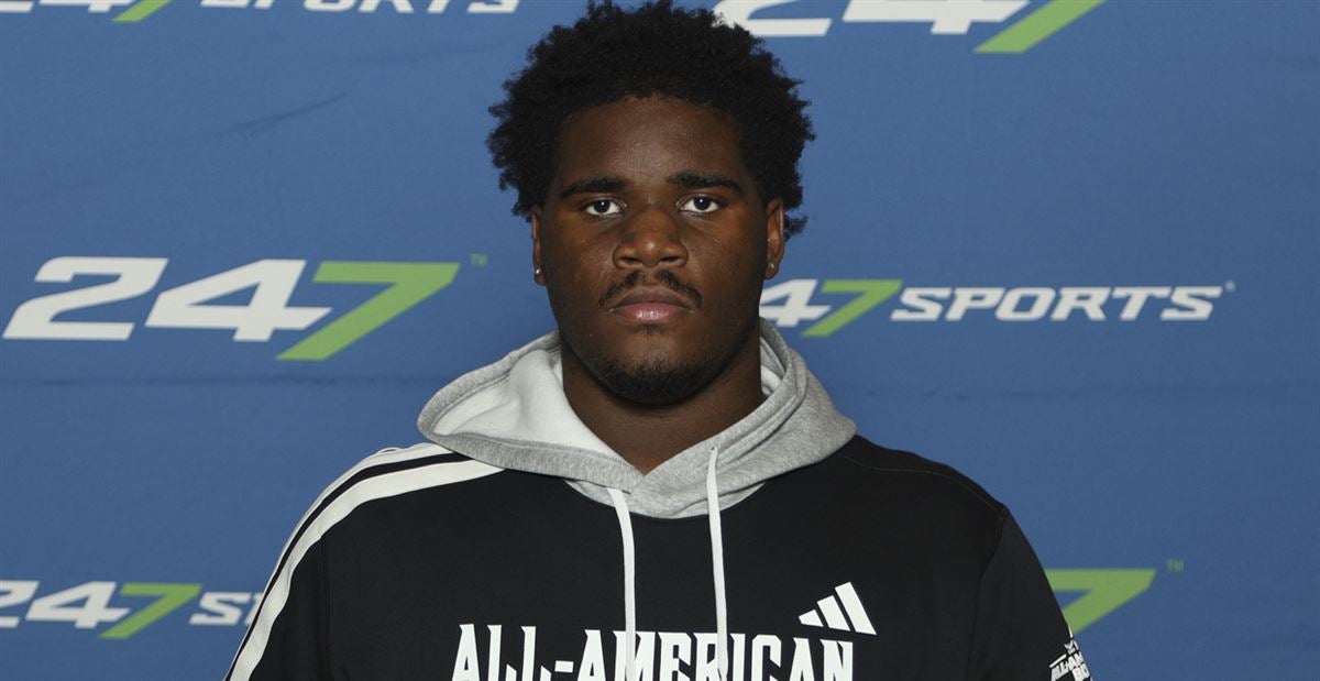 展提供了保 展提供了保