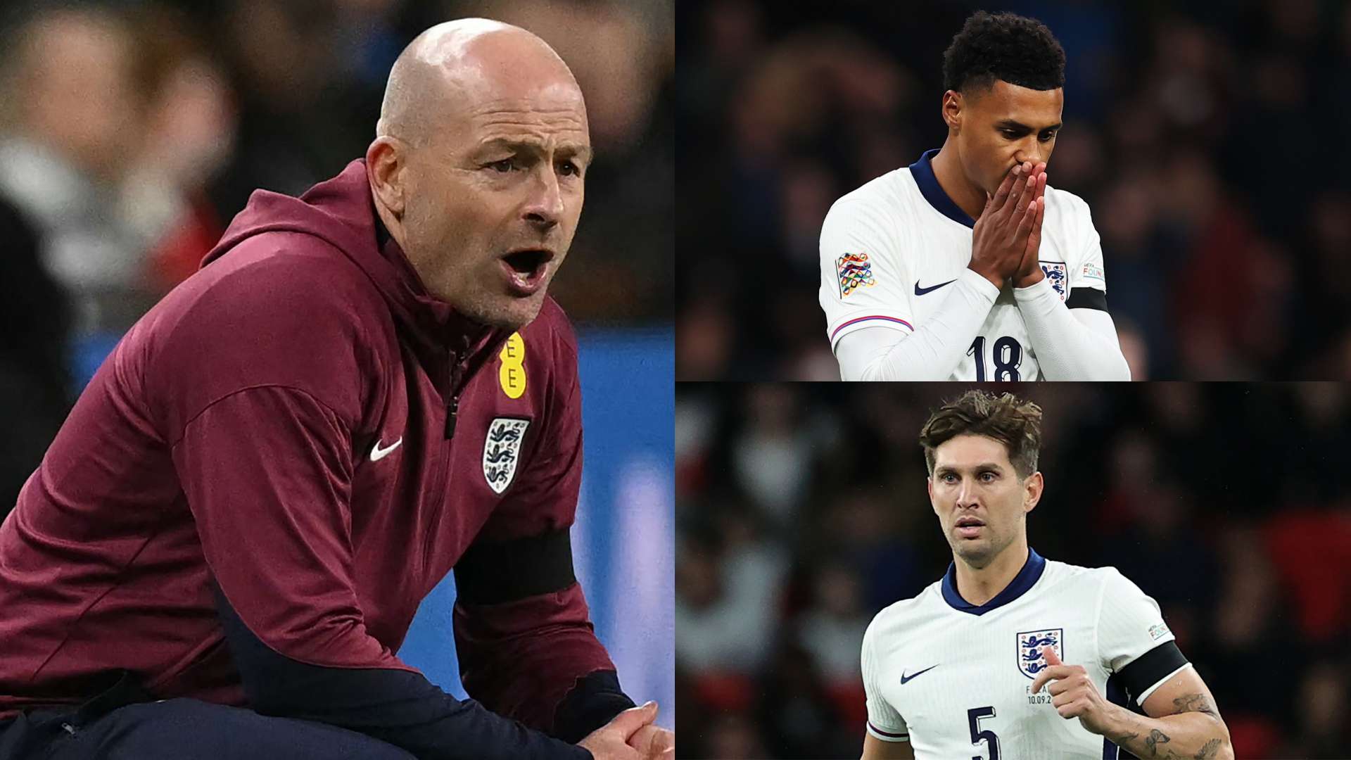 蛋白质作为 蛋白质作为